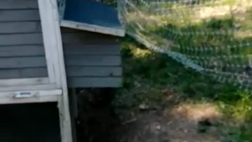 S1: E11 She needs privacy