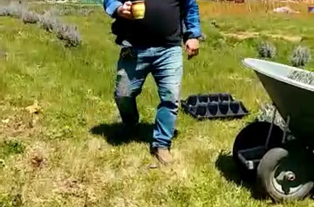 S1: E5 Organizing the layout of the lavender field