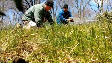 S1: E8 Dave & Paul bonding while planting lavender
