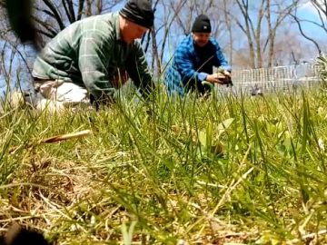 S1: E8 Dave & Paul bonding while planting lavender